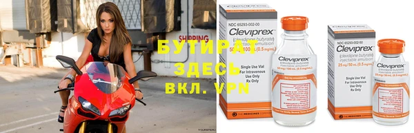 прущие грибы Абинск