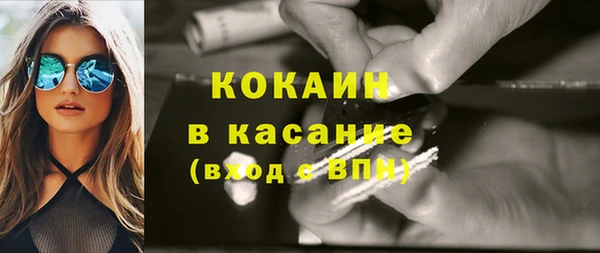 прущие грибы Абинск