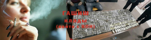 прущие грибы Абинск