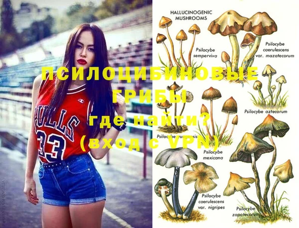 ешки Абаза