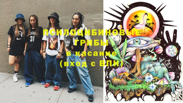 прущие грибы Абинск