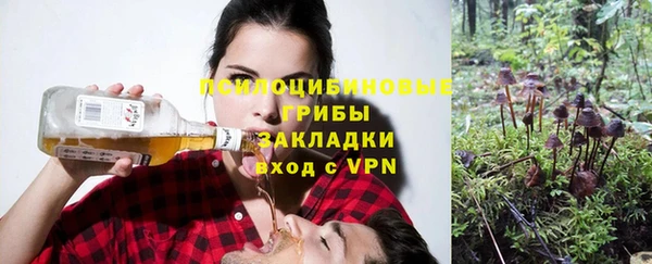 ешки Абаза