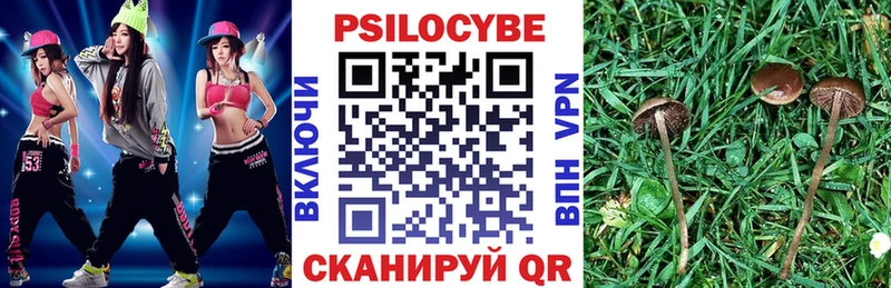 hydra сайт  Холм  Галлюциногенные грибы Psilocybe  закладки 