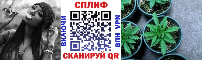 Каннабис AK-47  MEGA зеркало  Холм 